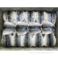 Frozen Mackerel Flaps Oem Size 150-200 200-300g